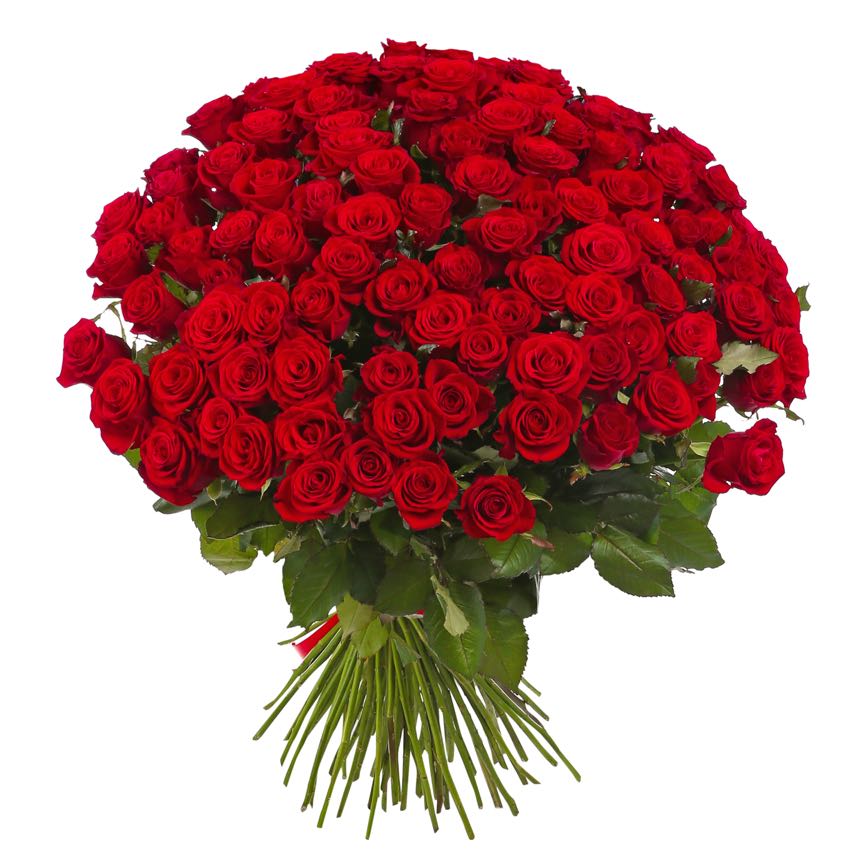 Rosso cento : 100 Rose Rosse - BD FIORISTA