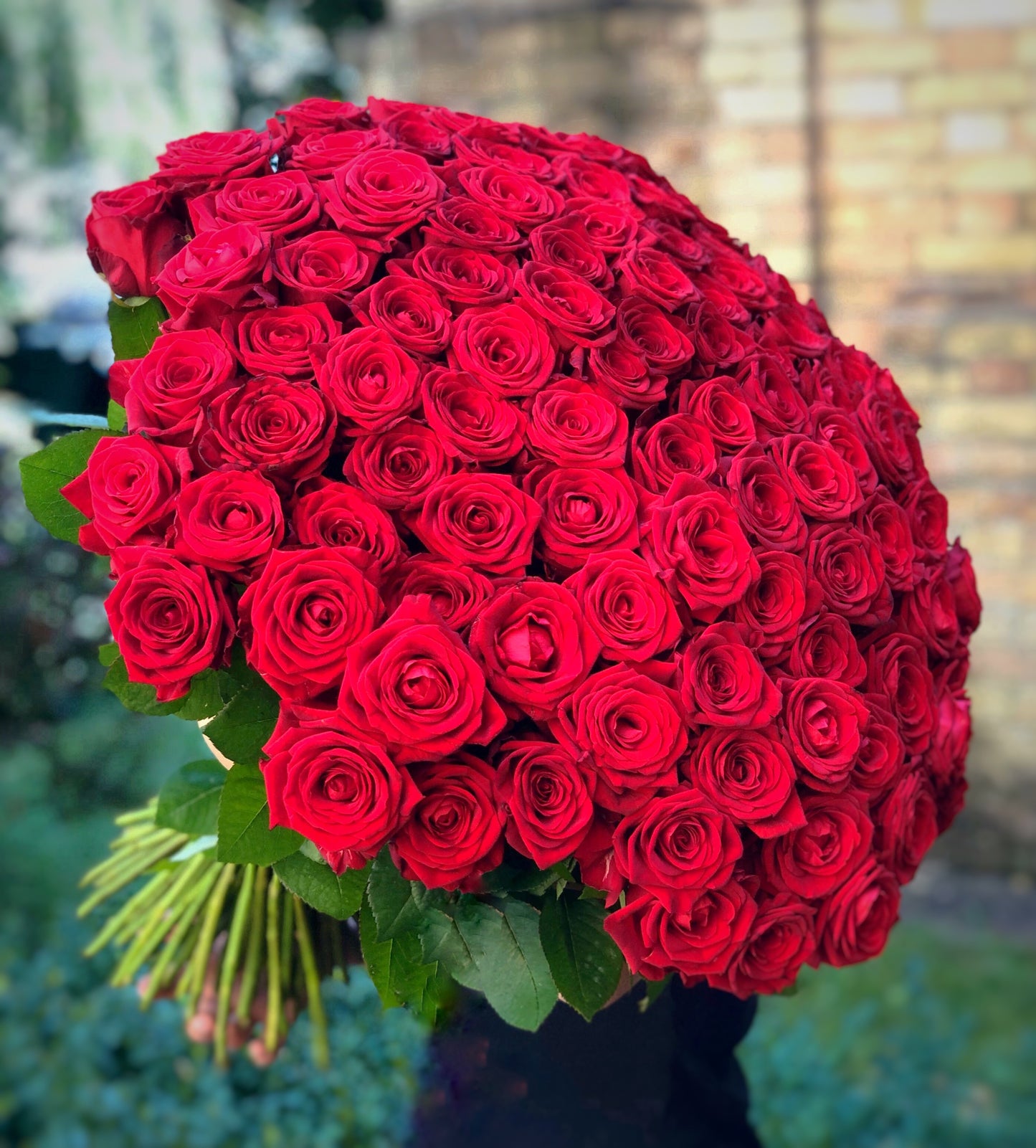 Rosso cento : 100 Rose Rosse - BD FIORISTA