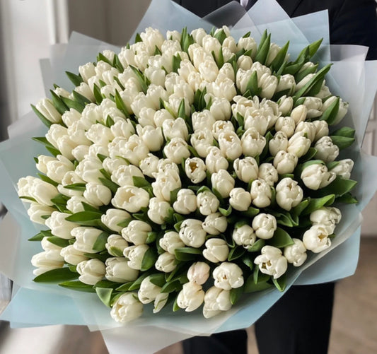 Tulipmania : 101 tulipani bianchi - BD FIORISTA
