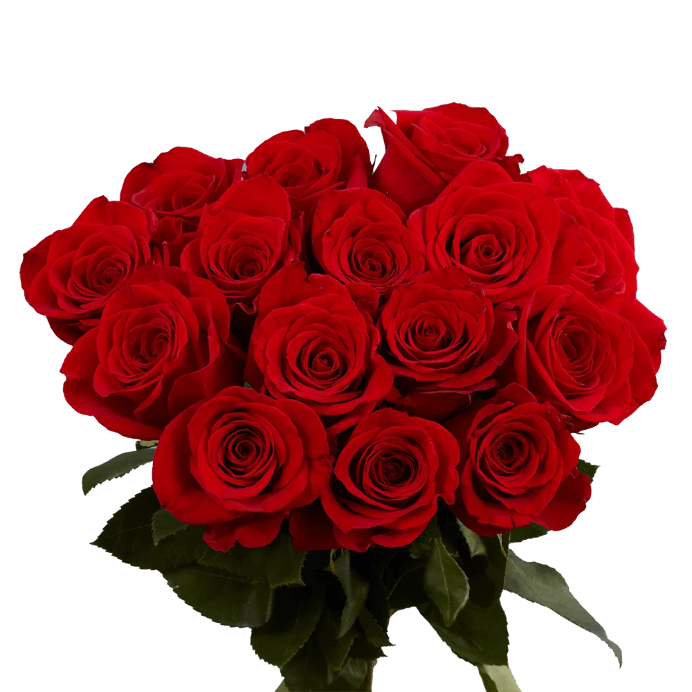 ROSA PASSIONE : 12 Rose rosse - BD FIORISTA