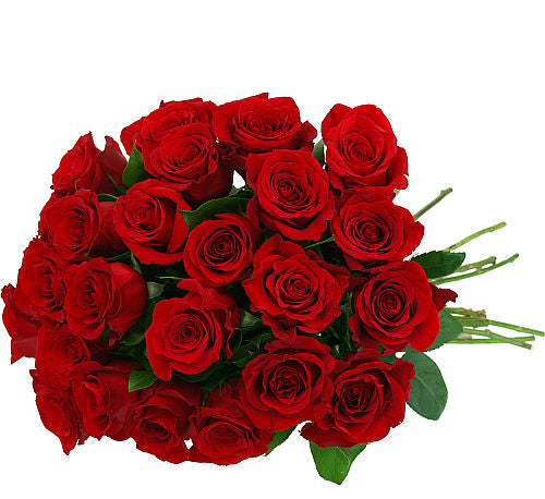 ROSA PASSIONE : 12 Rose rosse - BD FIORISTA