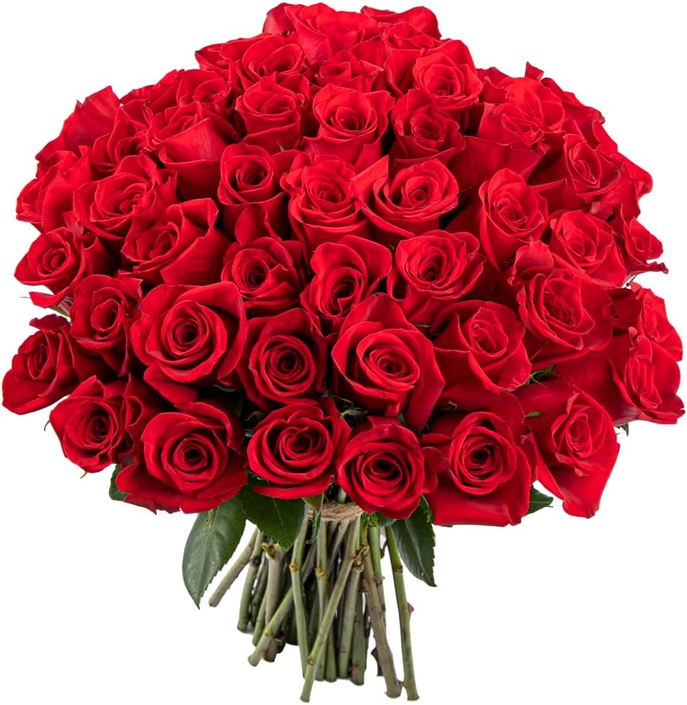 Amore Perfetto: 77 Rose rosse - BD FIORISTA