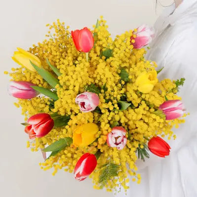 Tulipani misti e mimosa