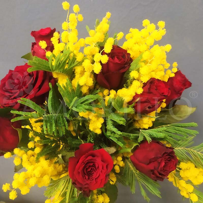 Rose rosse e mimosa