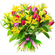Tulipani misti e mimosa