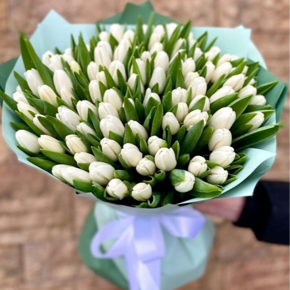 Tulipmania : 101 tulipani bianchi - BD FIORISTA