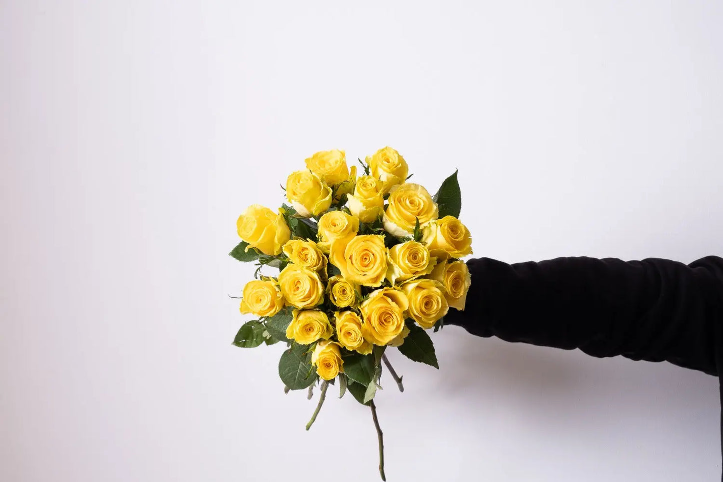 ROSE GIALLE