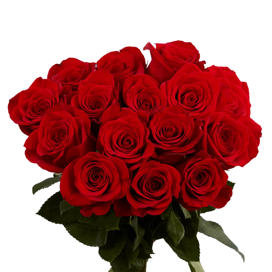 ROSA PASSIONE : 12 Rose rosse - BD FIORISTA