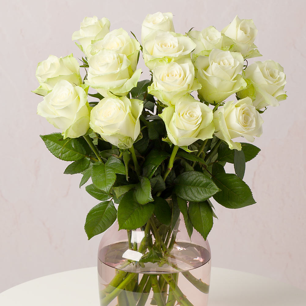 Dolce Eleganza : 12 rose bianche - BD FIORISTA
