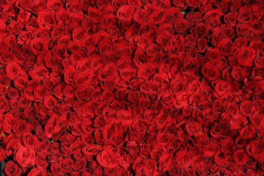 Rosa Infinita : 365 rose rosse - BD FIORISTA