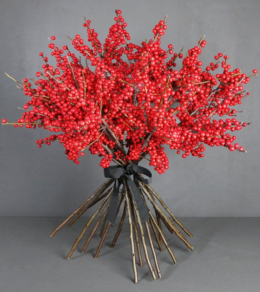 Ilex Rosso